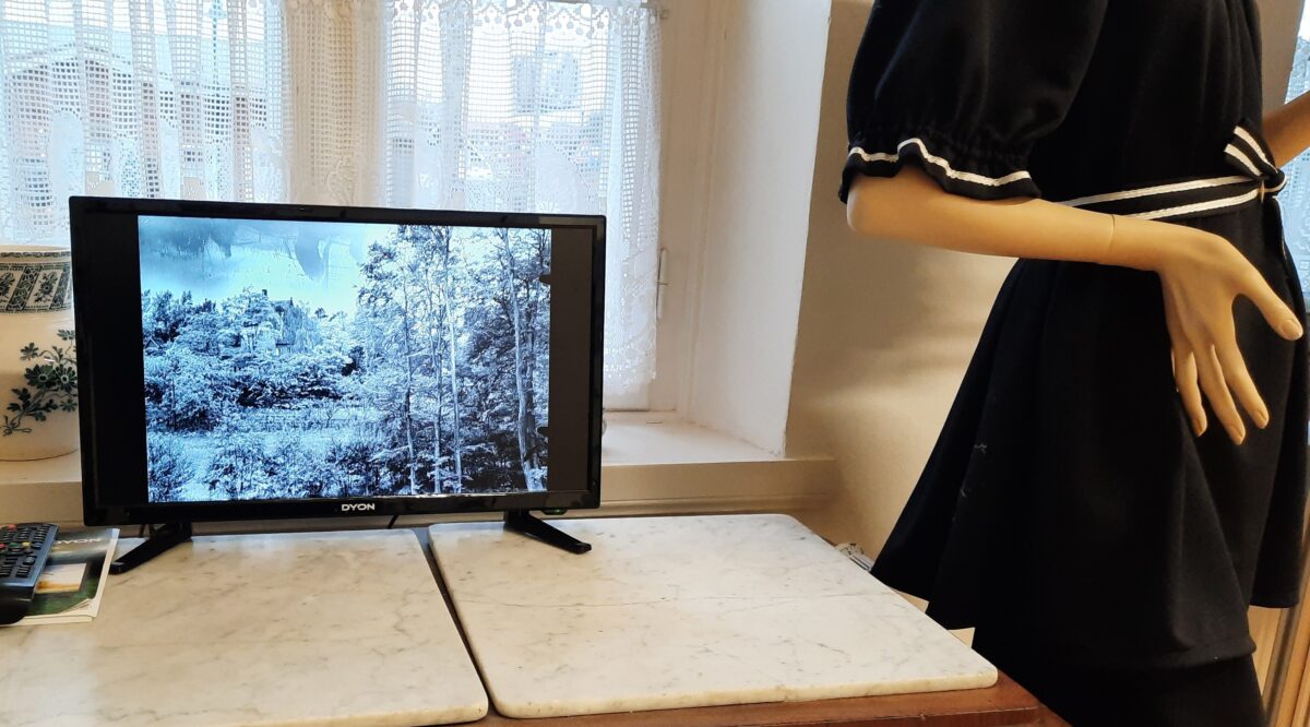 Bildschirm mit den digitalisierten Bildern der Glasnegative